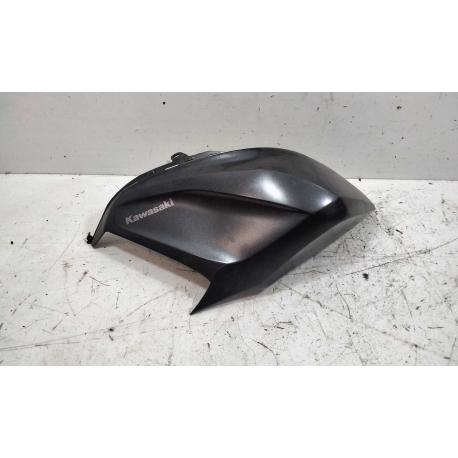 CARENAGE - KAWASAKI Z800