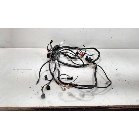 FAISCEAU - PEUGEOT KISBEE NACKED