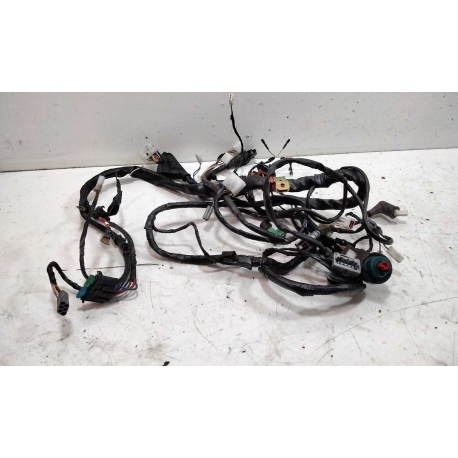 FAISCEAU - GILERA RUNNER INJECTION