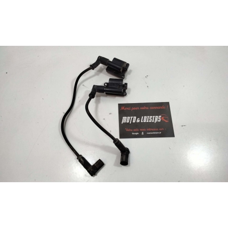 PAIRE BOBINES D'ALLUMAGE - DUCATI MONSTER 796