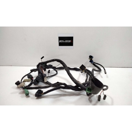 FAISCEAU - SUZUKI BANDIT 600